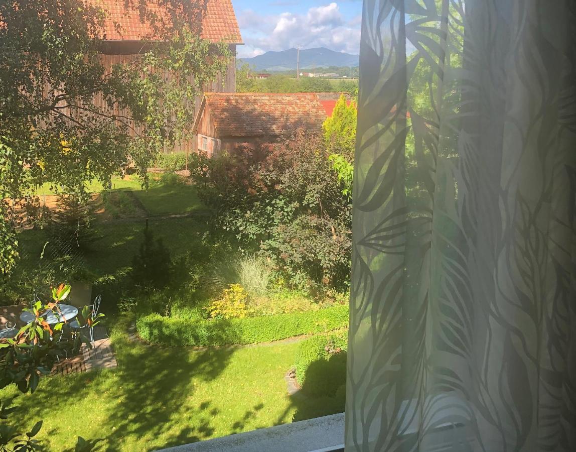 Hotel Au Relais De L'Ill Sermersheim Esterno foto